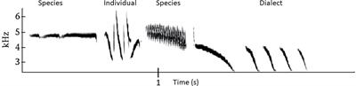 An ecological and neurobiological perspective on the evolution of vocal learning